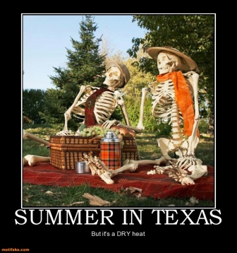 Memes Winter is not coming, and Texas is really freaking hot GuideLive