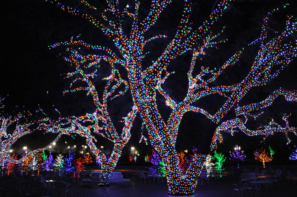 The top places to see Christmas lights in DallasFort Worth GuideLive