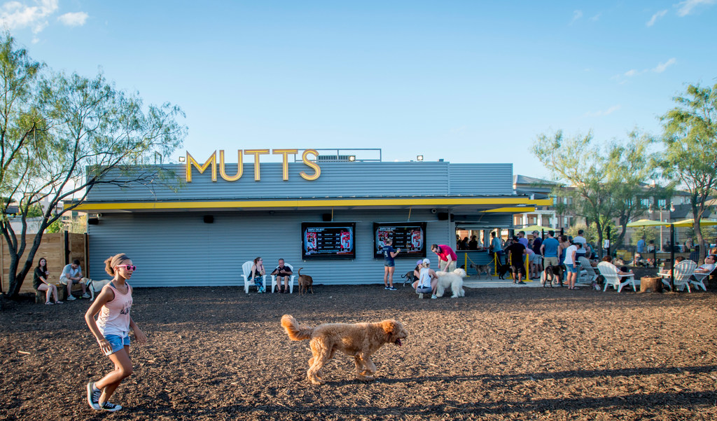 Dallas dog park Mutts is on the move GuideLive